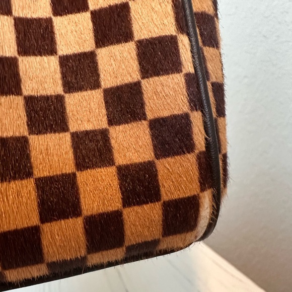 SOLD Louis Vuitton Lionne Damier Sauvage Handbag - Picture 12 of 13